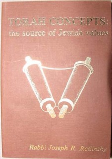 torah concepts source jewish values rabbi joseph radinsky book torah concepts source jewish values rabbi joseph radinsky book