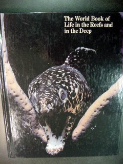 life in the reefs and in the deep les line george reige book life in the reefs and in the deep les line george reige book