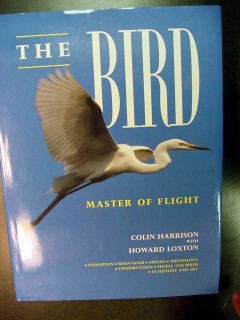 the bird master of flight colin harrison howard loxton illus book the bird master of flight colin harrison howard loxton illus book
