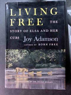 living free elsa and her cubs joy adamson 1st edition book