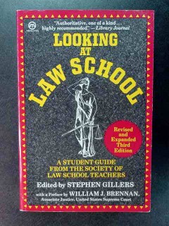 looking at law school stephen gillers student guide book