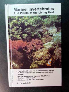 marine invertebrates and plants of living reef patrick colin book marine invertebrates and plants of living reef patrick colin book