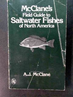 saltwater fishes north america fish anglers book