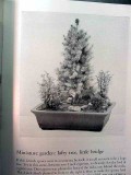 growing miniature trees plants and landscapes ishimoto bonsai book