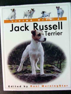 living with jack russell terrier rani morningstar training dog book
