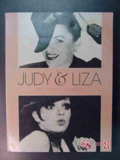 judy and liza james spada garland minelli illustrated book