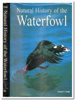 natural history of waterfowl by frank todd signed book natural history of waterfowl by frank todd signed book