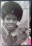 michael jackson magic and the madness by randy taraborrelli book
