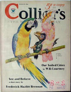 colliers 1934 lawson wood macaw cockatoo parrots cover print colliers 1934 lawson wood macaw cockatoo parrots cover print
