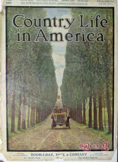 country life 1907 car driving down tree line drive cover print country life 1907 car driving down tree line drive cover print