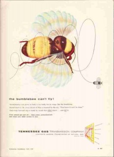 Tennessee Gas Transmission Company 1959 Vintage Ad Bumblebee Fly