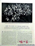 orchid growing 1906 florham farms madison nj vintage article