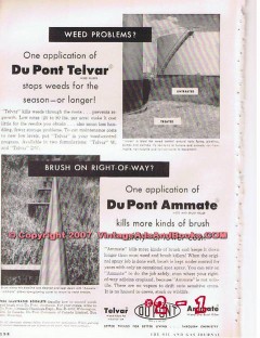 Du Pont 1955 Vintage Ad Chemical Telvar Ammate Weed Brush Killer Du Pont 1955 Vintage Ad Chemical Telvar Ammate Weed Brush Killer
