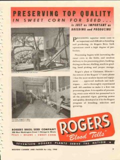 rogers brothers seed company 1946 preserving sweet corn vintage ad