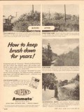 dupont 1954 ammate how to keep brush down for years vintage ad dupont 1954 ammate how to keep brush down for years vintage ad