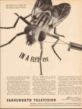 farnsworth television radio co 1943 flys eye diddector tube vintage ad farnsworth television radio co 1943 flys eye diddector tube vintage ad