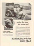 houston pipe line company 1947 black sheep any wool textile vintage ad