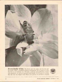 Ethyl Corp 1962 Vintage Ad Oil Flower Pollen Bee Everybody Wins Ethyl Corp 1962 Vintage Ad Oil Flower Pollen Bee Everybody Wins