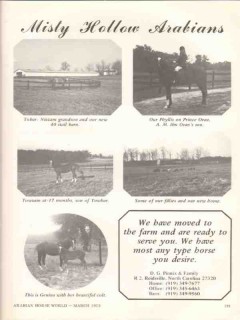 misty hollow arabians 1972 tobar prince oran towzam horse vintage ad