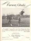 gay farms 1972 faraon ghalii naborr nazeer arabian horse vintage ad gay farms 1972 faraon ghalii naborr nazeer arabian horse vintage ad