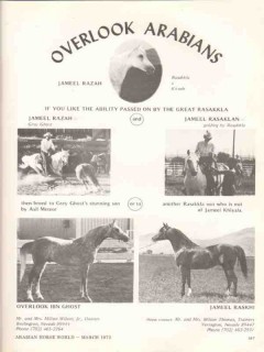 overlook arabians 1972 jameel razah rasakkla equestrian vintage ad