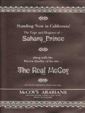 mccoys arabians 1972 sahara prince the real mccoy horse vintage ad