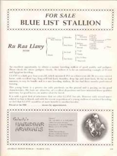 hamidbar arabians 1972 ru raa llany blue list stallion vintage ad