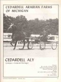 cedardell arabian farms michigan 1972 aly juleppa horse vintage ad