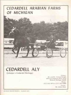 cedardell arabian farms michigan 1972 aly juleppa horse vintage ad