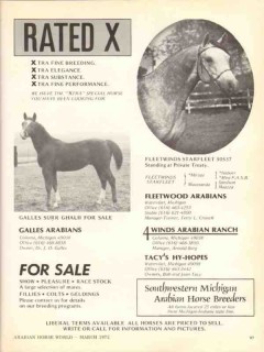 galles fleetwood arabians 1972 surr ghalii starfleet horse vintage ad