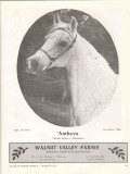 walnut valley farms 1972 ambara wielki szlem alhambra horse vintage ad