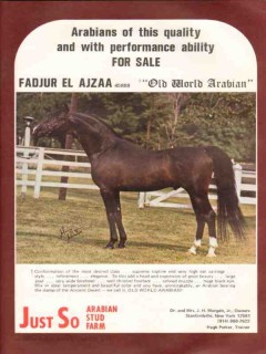 just so arabian stud farm 1972 fadjur el ajzaa horse vintage ad