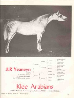 klee arabians 1972 jlr yeaneyn ferneyn suryea stud horse vintage ad
