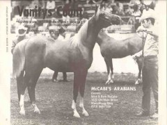 mccabes arabians 1972 vanitys count perihan bint dorsaz vintage ad