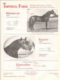 Imperial Farm 1972 Khedurral Rasurn Chancellor stud horse vintage ad