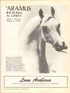 lowe arabians 1972 aramus polly knoll equestrian horse vintage ad