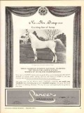 lancer arabians 1972 na-ibn-sotep naborr equestrian horse vintage ad lancer arabians 1972 na-ibn-sotep naborr equestrian horse vintage ad
