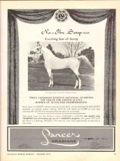 lancer arabians 1972 na-ibn-sotep naborr equestrian horse vintage ad