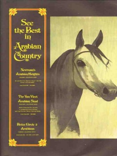 newmans arabian heights 1972 van vleet betts circle 2 horse vintage ad