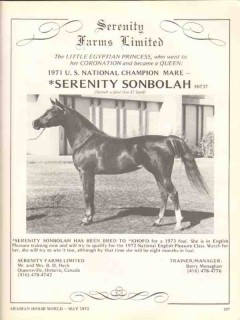 serenity farms limited 1972 sonbolah sabra luftia horse vintage ad