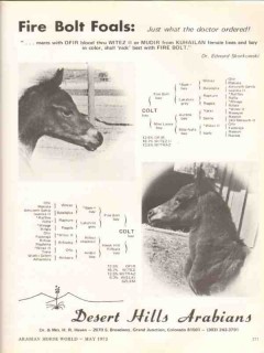Desert Hills Arabians 1972 Fire Bolt Ofir Witez stud horse vintage ad