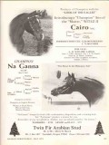 twin fir arabian stud 1972 cairo witez albert m mauck horse vintage ad twin fir arabian stud 1972 cairo witez albert m mauck horse vintage ad