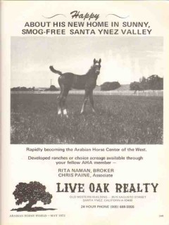 live oak realty 1972 santa ynez valley arabian horse center vintage ad