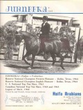 Haifa Arabians 1972 Jurneeka Fadjur Fadneeka stud horse vintage ad
