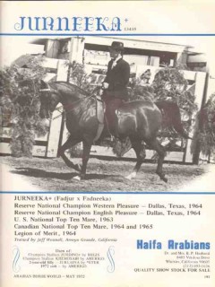Haifa Arabians 1972 Jurneeka Fadjur Fadneeka stud horse vintage ad