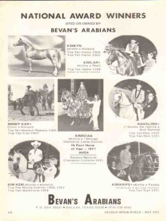 bevans arabians 1972 kimeyn kimlar kimiciaa equestrian stud vintage ad
