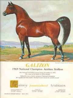 gainey fountainhead arabians 1972 galizon equestrian stud vintage ad