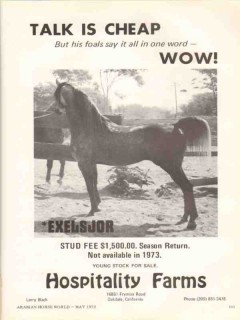 hospitality farms 1972 exelsjor talk arabian horse stud vintage ad