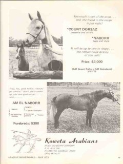 Koweta Arabians 1972 Count Dorsaz Am el Naborr stud horse vintage ad