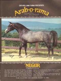 sir william farm 1972 arab-o-rama negor negatiw cecora stud vintage ad